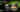 GeForce RTX 50 Series Laptops