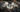 Best PC Builds to Play Clair Obscur: Expedition 33 — From 1080p to 4K Glory