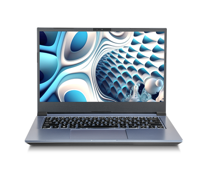 SAGER NP3646Z (CLEVO NV41RZ) Laptop