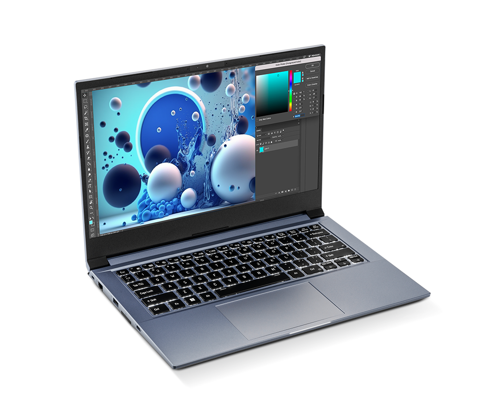 SAGER NP3646Z (CLEVO NV41RZ) Laptop