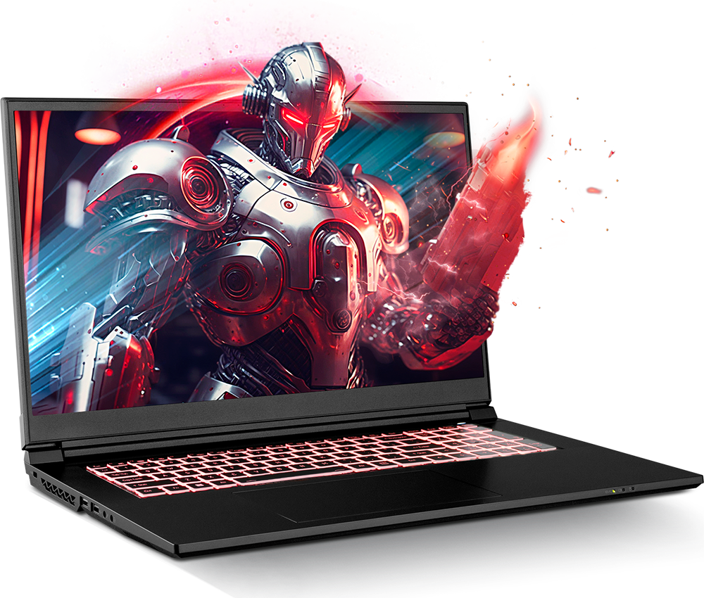 SAGER NP6271C-S (CLEVO NP70RNC1) Gaming Laptop