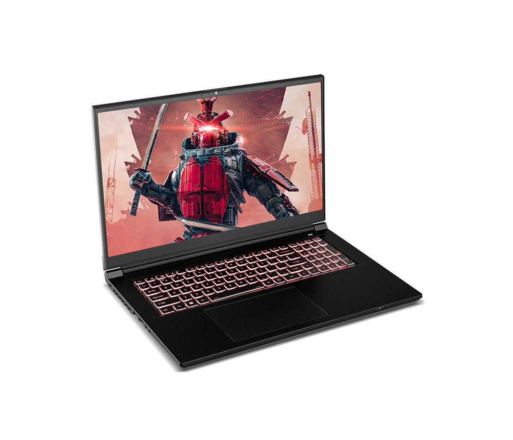 SAGER NP6271C (CLEVO NP70RNC1) Gaming Laptop