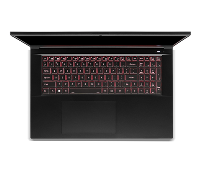 SAGER NP6271C (CLEVO NP70RNC1) Gaming Laptop