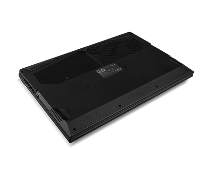 SAGER NP6271C (CLEVO NP70RNC1) Gaming Laptop