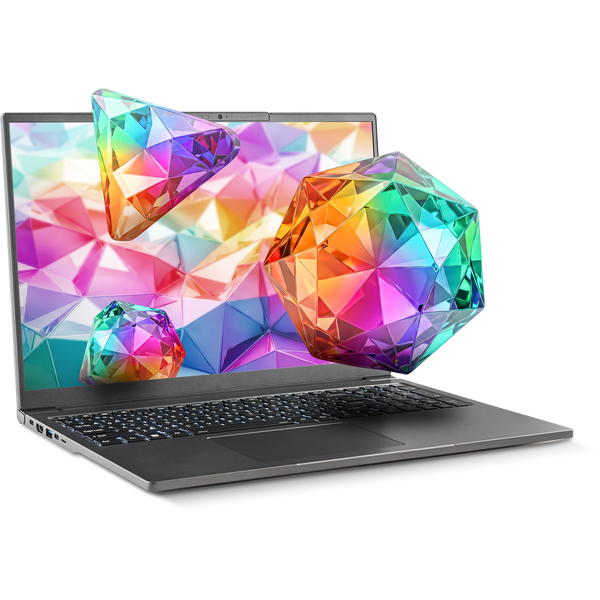 SAGER NP3262U (Clevo L260JUX) Laptop, 16.0