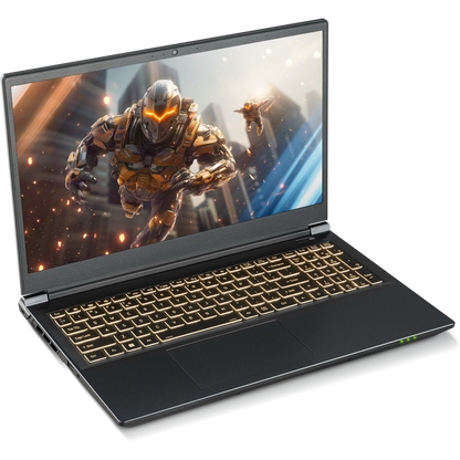 SAGER NP5350D (Clevo V350ENDQ) Gaming Laptop