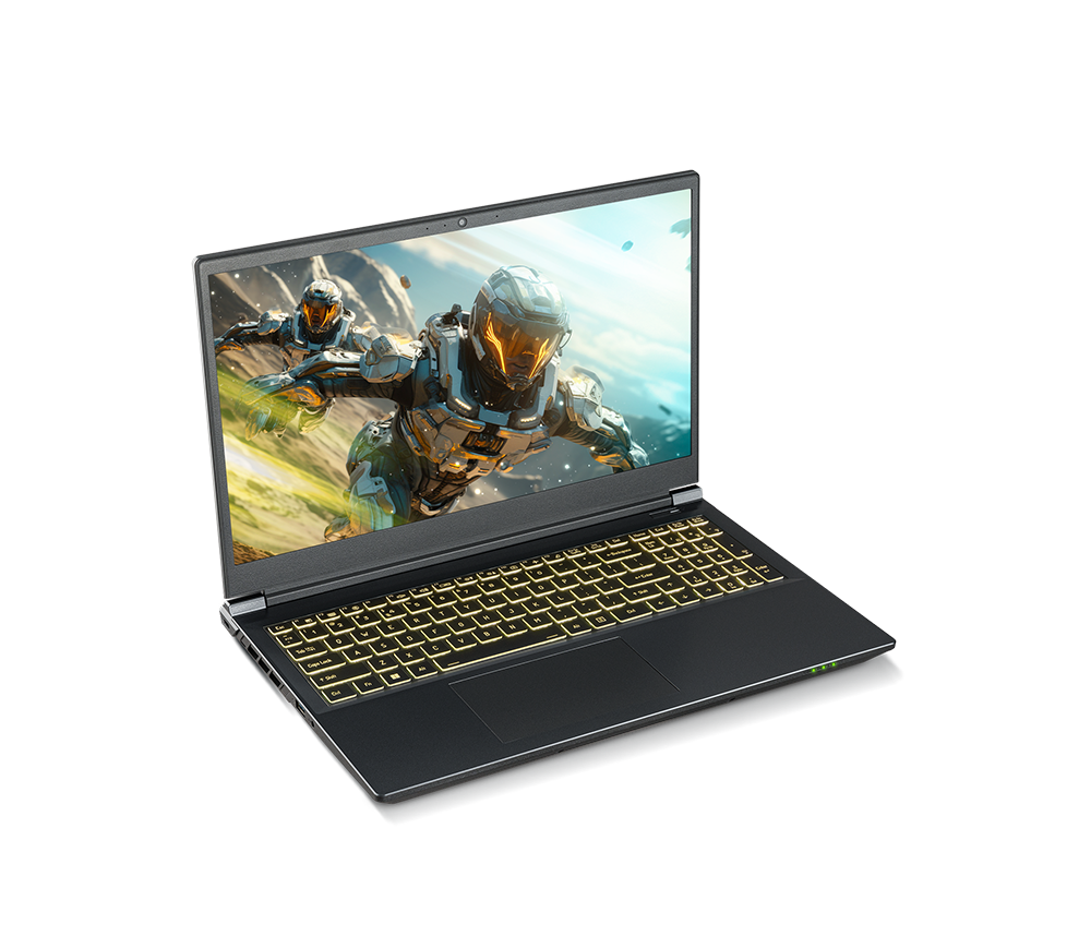 SAGER NP7550C (Clevo V350SNC) Gaming Laptop