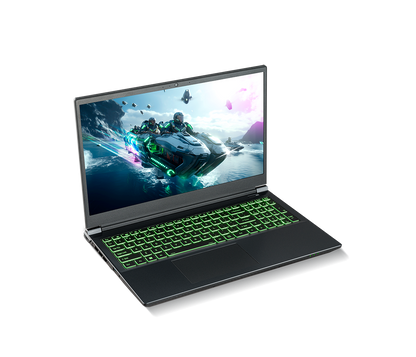 SAGER NP7550D (Clevo V350SND) Gaming Laptop