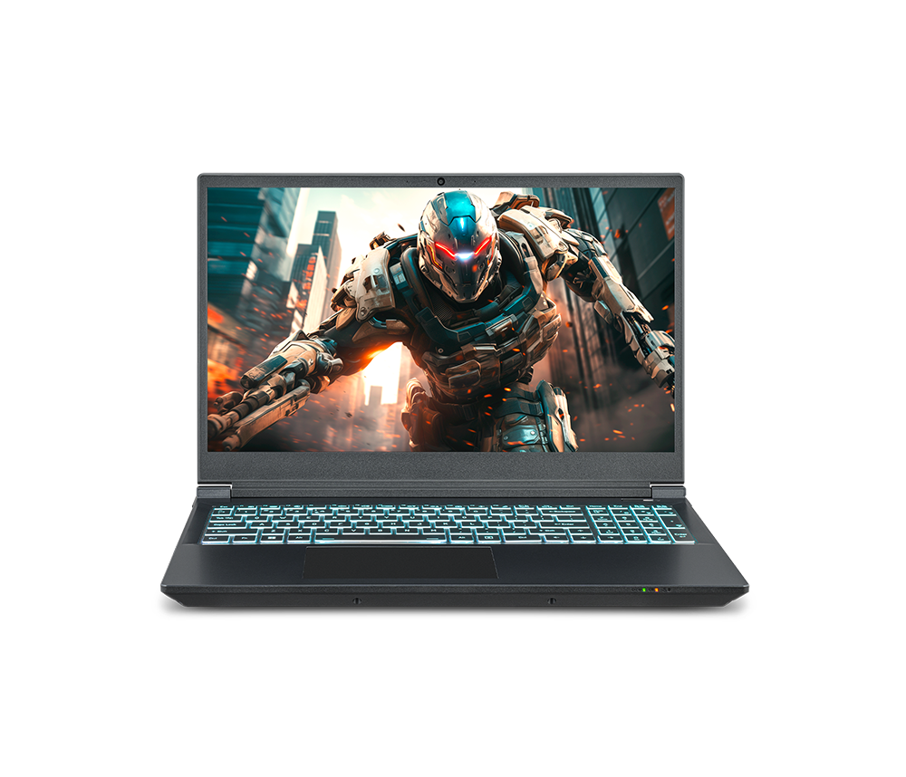 SAGER NP7550E (Clevo V350SNE) Gaming Laptop