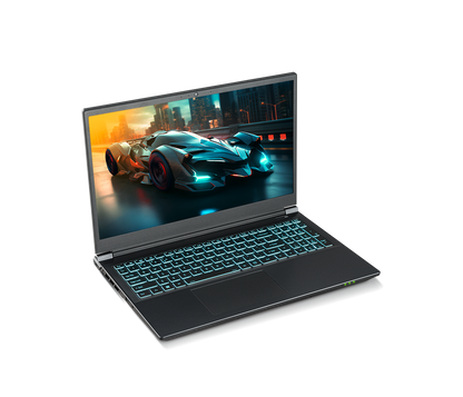 SAGER NP7550E (Clevo V350SNE) Gaming Laptop