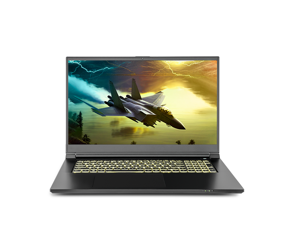 SAGER NP7882C (Clevo NP70SNC) Gaming Laptop