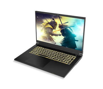 SAGER NP7882C (Clevo NP70SNC) Gaming Laptop