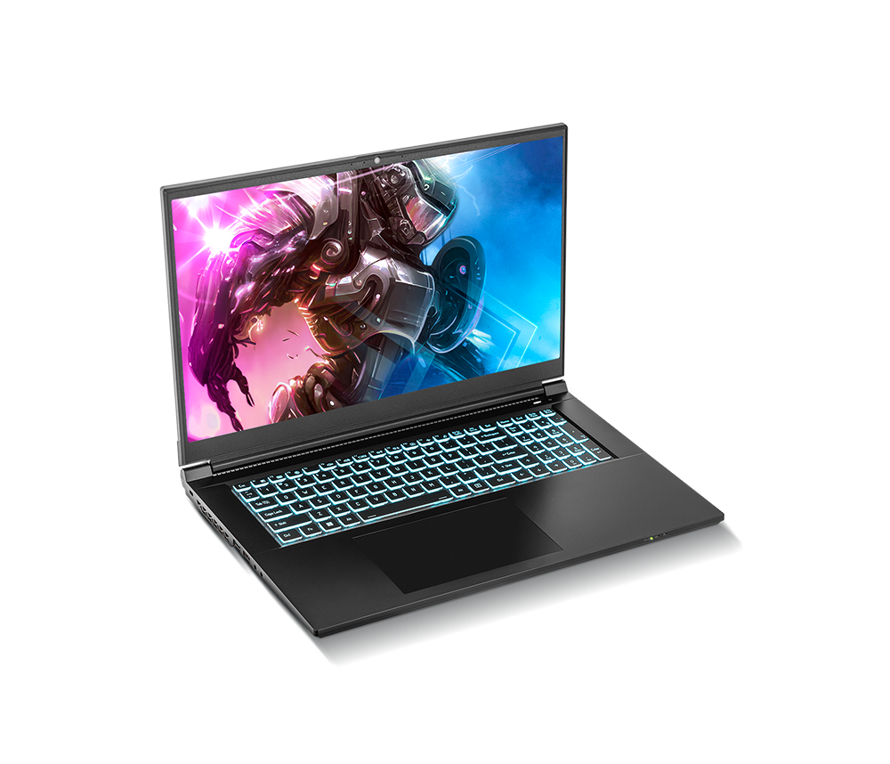 SAGER NP7882E (Clevo NP70SNE) Gaming Laptop