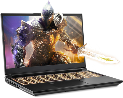 SAGER NP8856D (Clevo PD50SND-G) Gaming Laptop