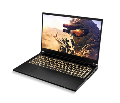 SAGER NP8856D (Clevo PD50SND-G) Gaming Laptop