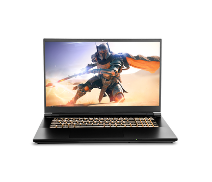 SAGER NP8876D (Clevo PD70SND-G) Gaming Laptop