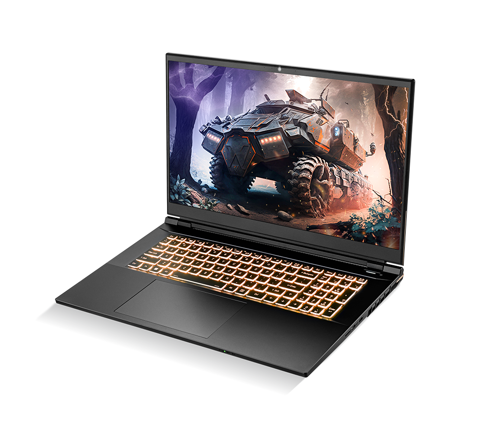 SAGER NP8876D (Clevo PD70SND-G) Gaming Laptop