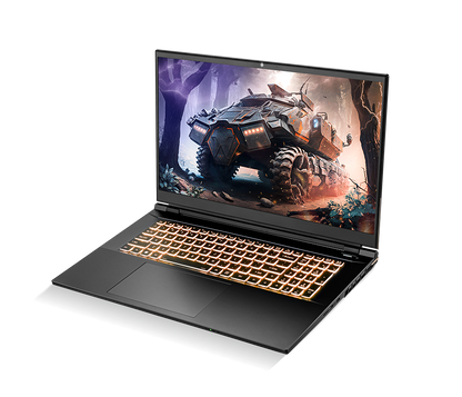 SAGER NP8876D (Clevo PD70SND-G) Gaming Laptop