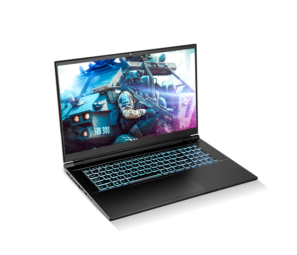 SAGER NP8876E (Clevo PD70SNE-G) Gaming Laptop