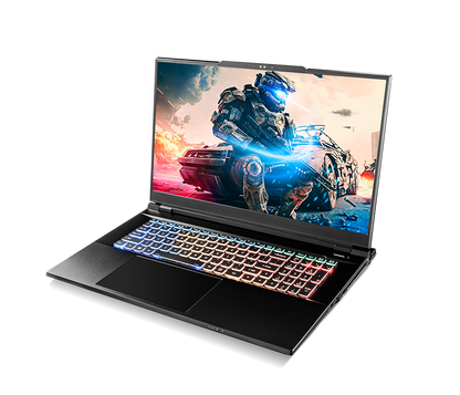 SAGER NP9372W (Clevo X370SNW-G) Gaming Laptop