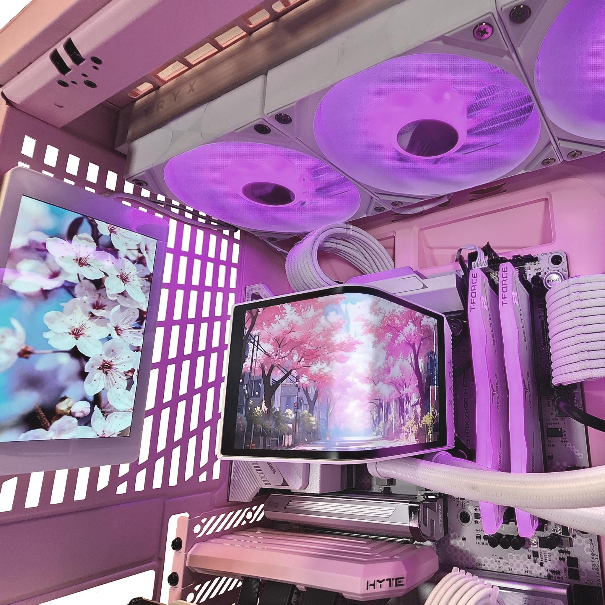 Tryx Empowering Possibilities Page tryx-empowering-possibilities-page