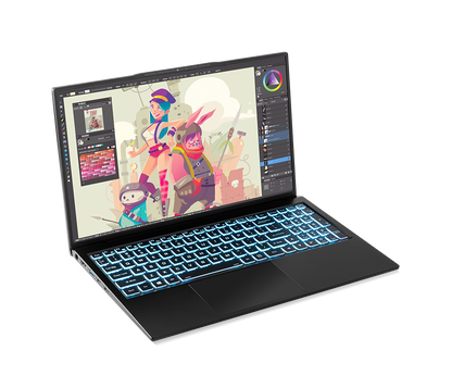 SAGER NP3551U (CLEVO NS50PU) Laptop