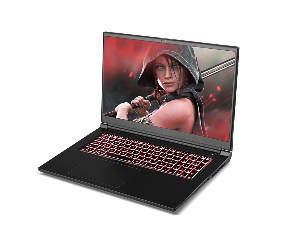 SAGER NP6271J (CLEVO NP70RNJS) Gaming Laptop