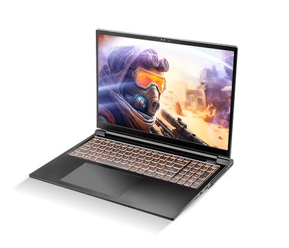 SAGER NP6860D (CLEVO PE60RND-G) Gaming Laptop
