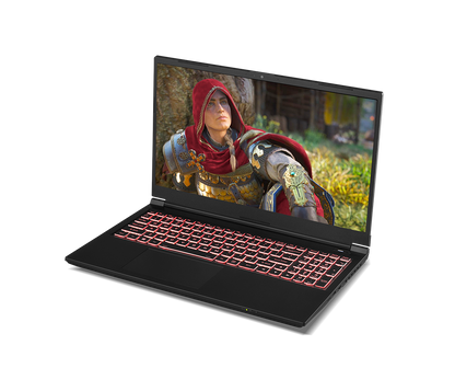 SAGER NP7860J (CLEVO NP50PNJ) Gaming Laptop