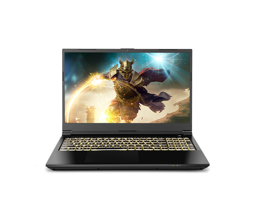 SAGER NP7861C (CLEVO NP50SNC) Gaming Laptop