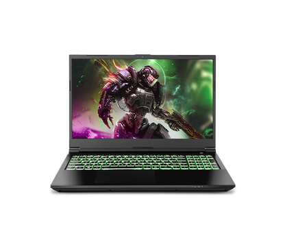 SAGER NP7861D (CLEVO NP50SND) Gaming Laptop