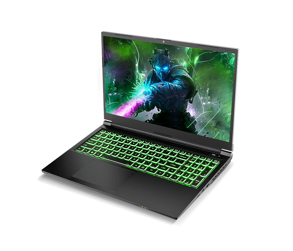 SAGER NP7861D-S (CLEVO NP50SND) Gaming Laptop