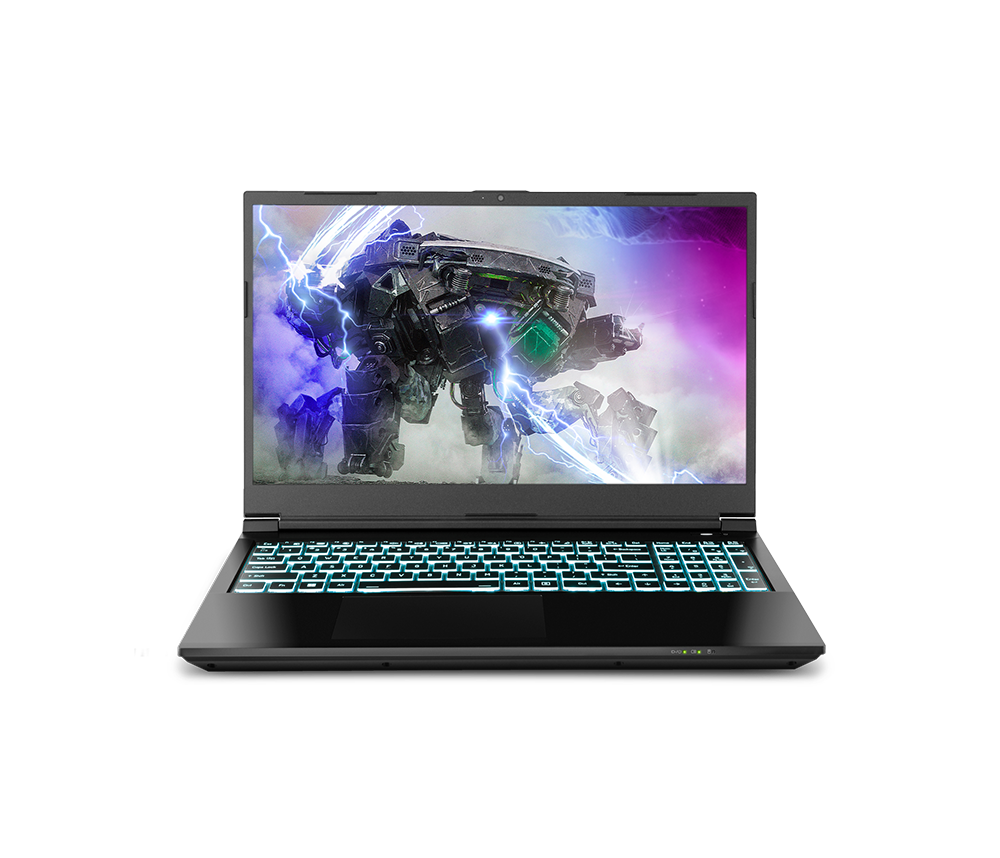 SAGER NP7861E (CLEVO NP50SNE) Gaming Laptop