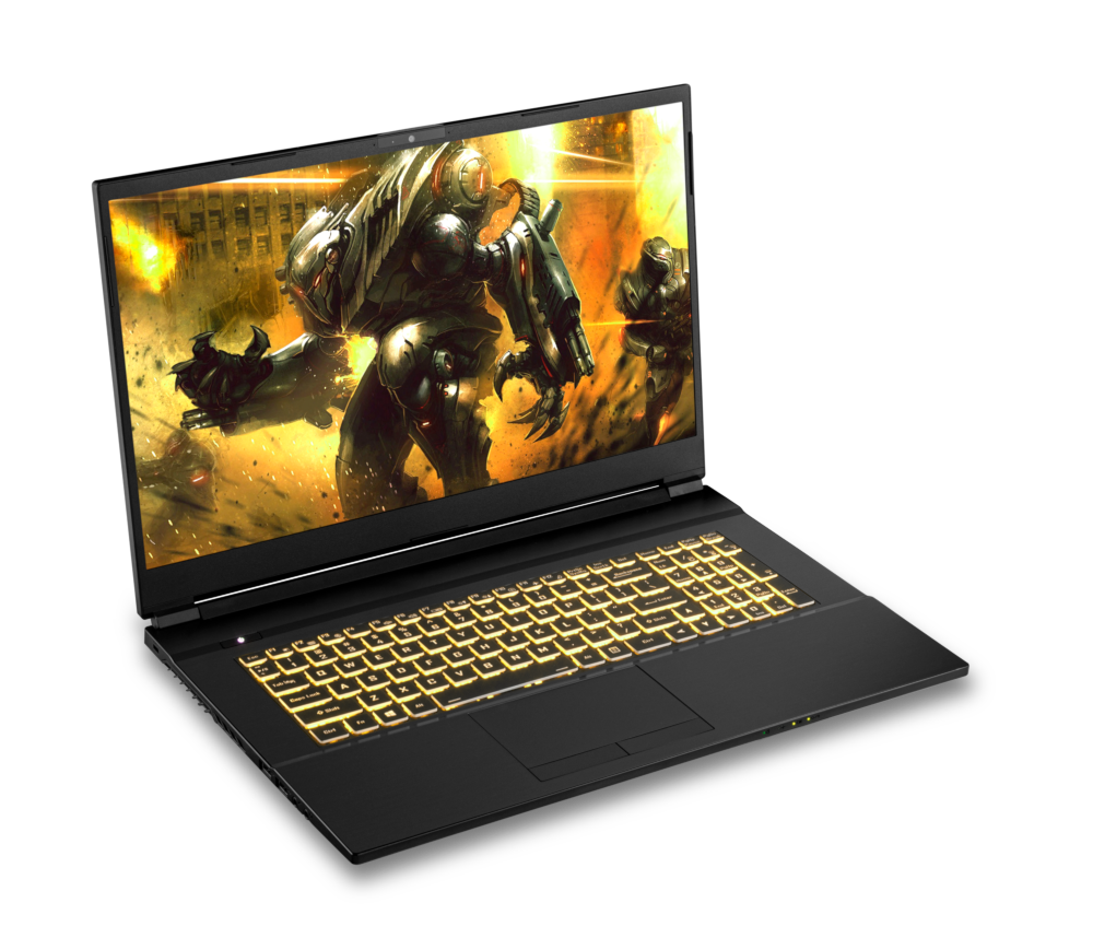 SAGER NP7879KQ (CLEVO NH77HKQ) Gaming Laptop