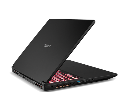 SAGER NP7880J (CLEVO NP70PNJ) Gaming Laptop