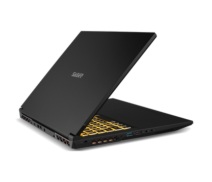 SAGER NP7880K (CLEVO NP70PNK) Gaming Laptop