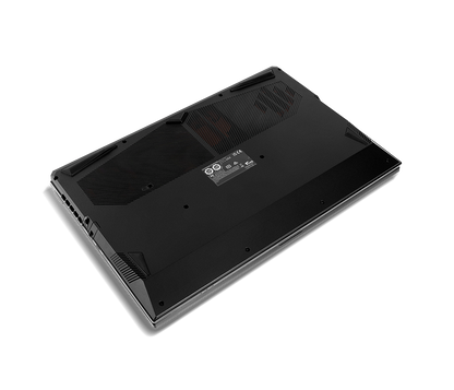 SAGER NP7881C (CLEVO NP70SNC) Gaming Laptop