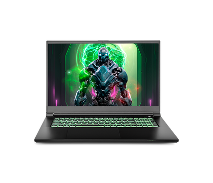 SAGER NP7881D (CLEVO NP70SND) Gaming Laptop