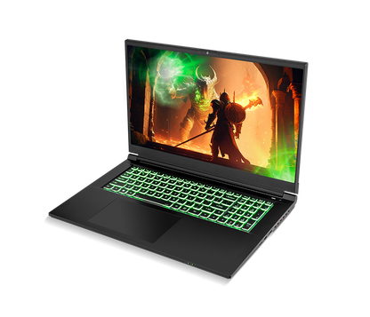 SAGER NP7881D-S (CLEVO NP70SND) Gaming Laptop