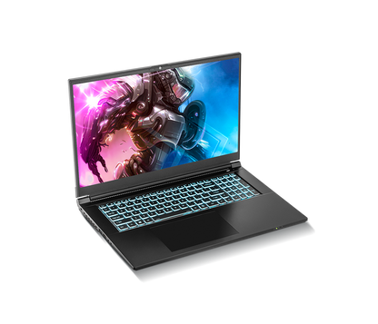 SAGER NP7881E (CLEVO NP70SNE) Gaming Laptop