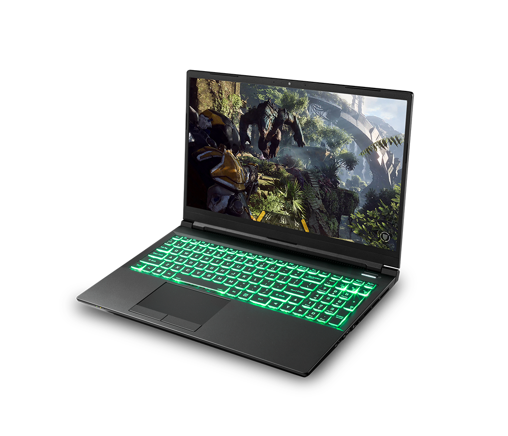 SAGER NP8753S-S (CLEVO PC50HS) Gaming Laptop