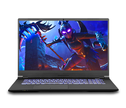 SAGER NP8773R (CLEVO PC70HR) Gaming Laptop