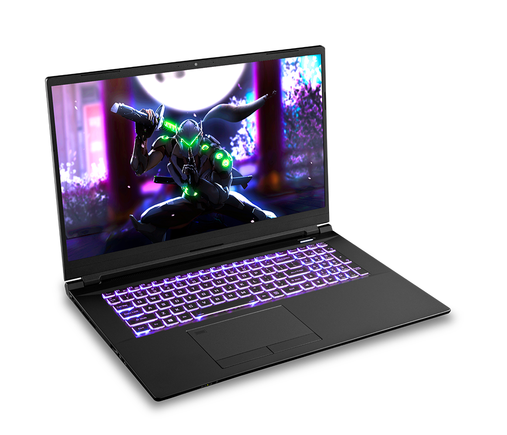 SAGER NP8773R (CLEVO PC70HR) Gaming Laptop