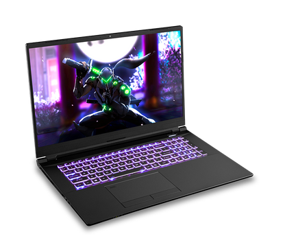 SAGER NP8773R (CLEVO PC70HR) Gaming Laptop