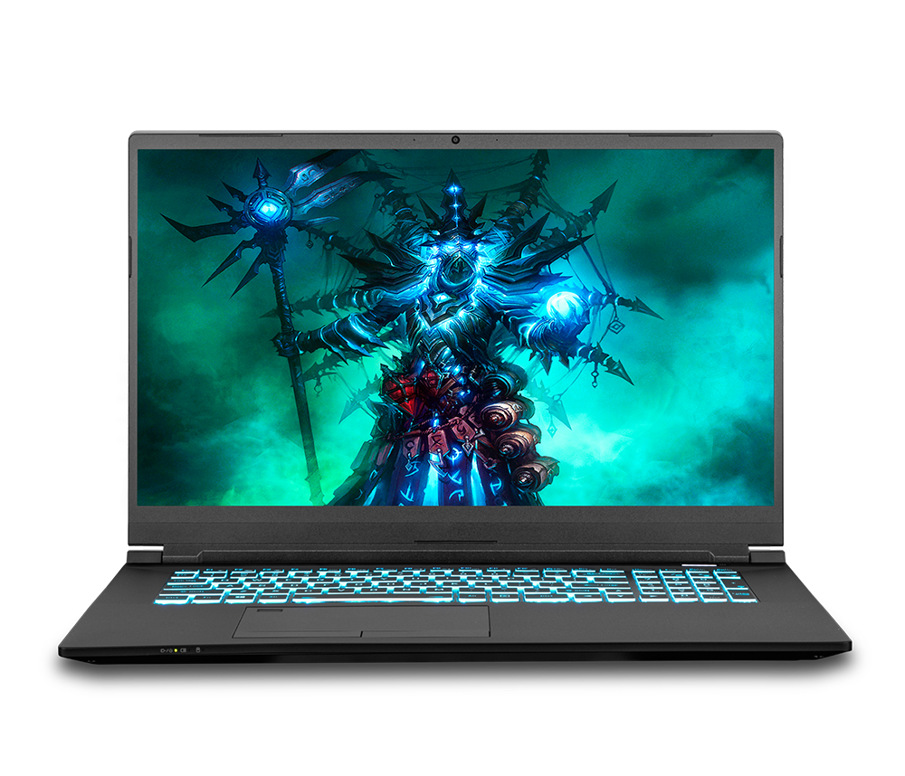 SAGER NP8773S-S  (CLEVO PC70HS) Gaming Laptop