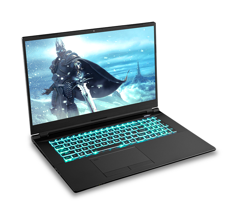 SAGER NP8773S (CLEVO PC70HS) Gaming Laptop