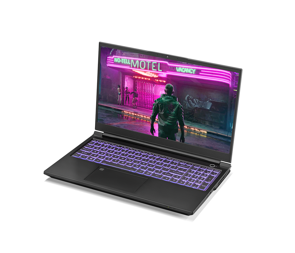 SAGER NP8852N (CLEVO PD50PNN) Gaming Laptop