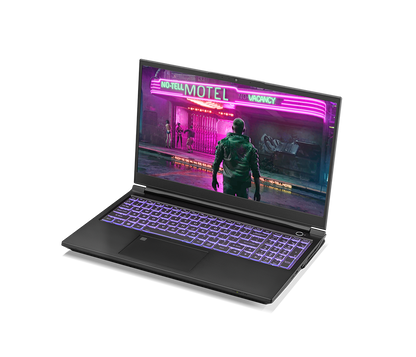 SAGER NP8852N (CLEVO PD50PNN) Gaming Laptop