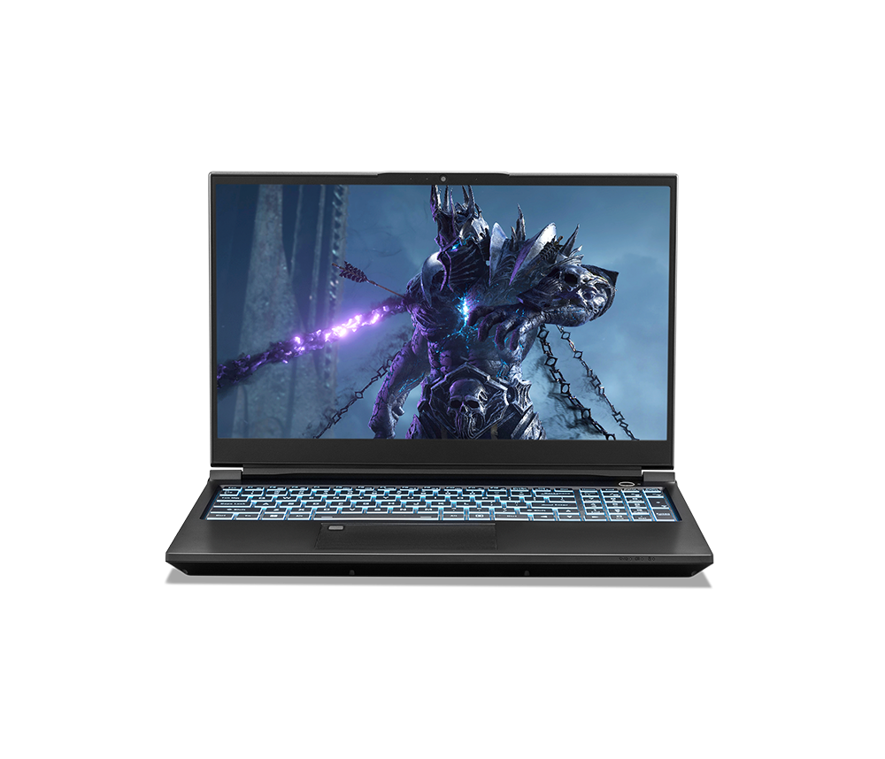 SAGER NP8852T (CLEVO PD50PNT) Gaming Laptop