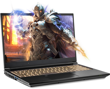SAGER NP8855D (CLEVO PD50SND-G) Gaming Laptop
